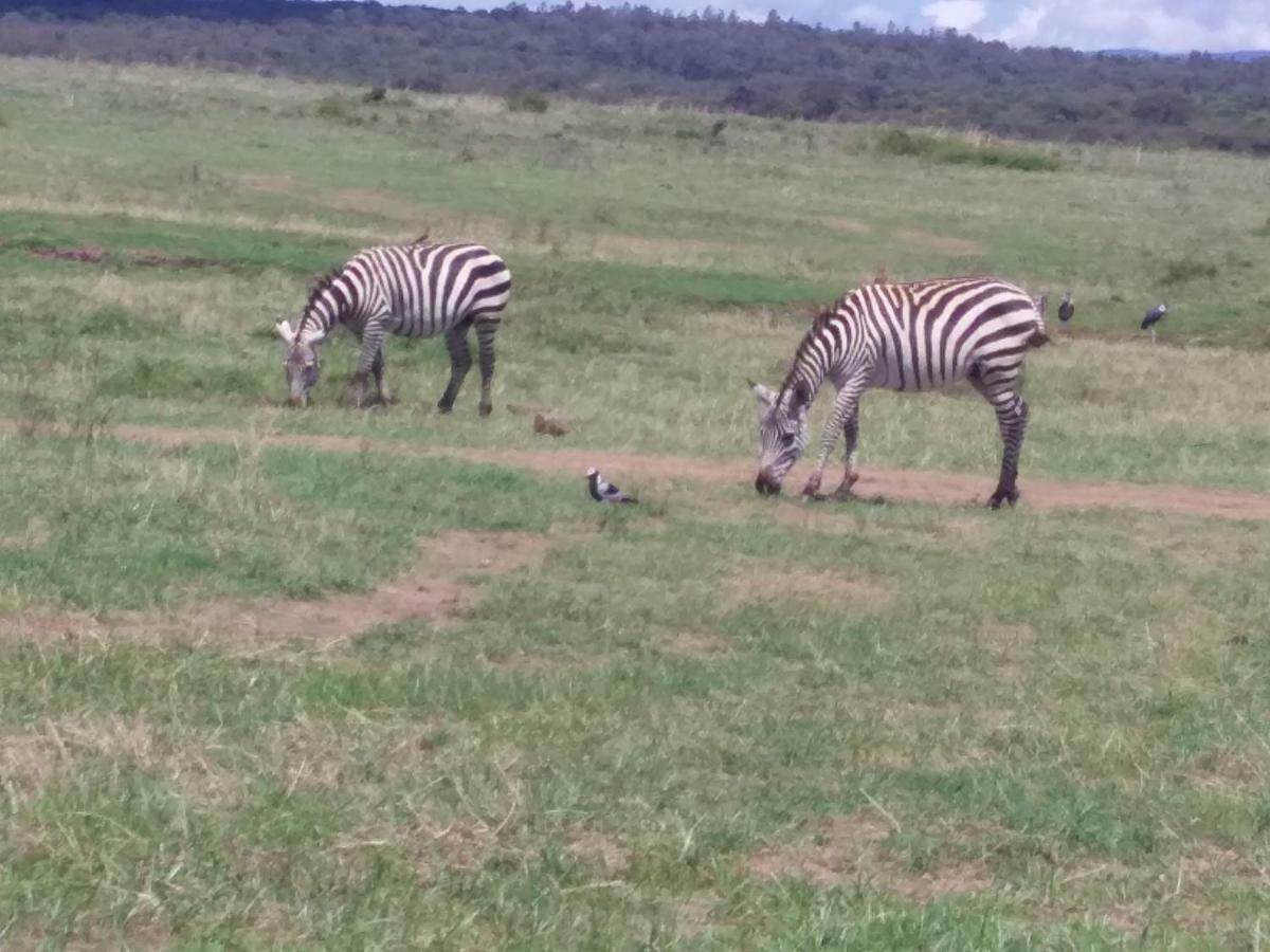 Ann Airport Home And Tour Nairobi Dış mekan fotoğraf